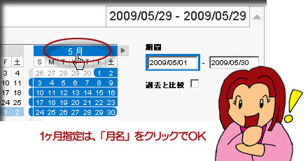 Google Analytics では、１ヶ月指定は月名をクリックでOK