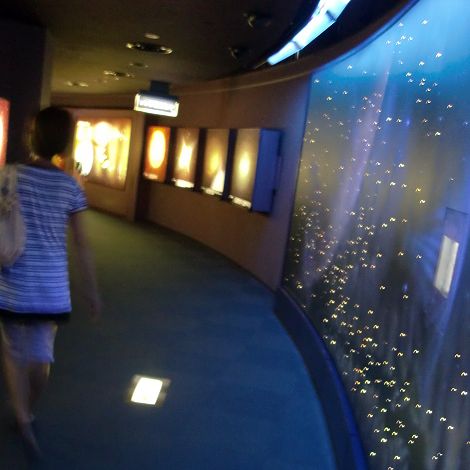 迫力ありすぎ さいたま市青少年宇宙科学館プラネタリウム