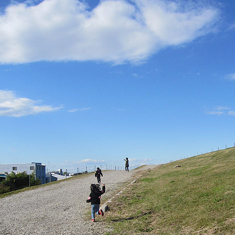 入間基地、航空ショー