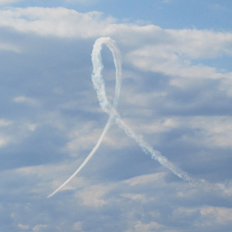 入間基地、航空ショー