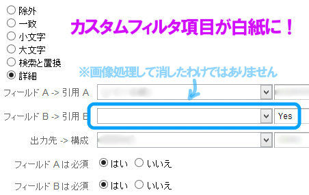 カスタムフィルタが白紙に
