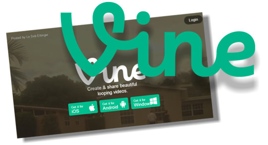 vine