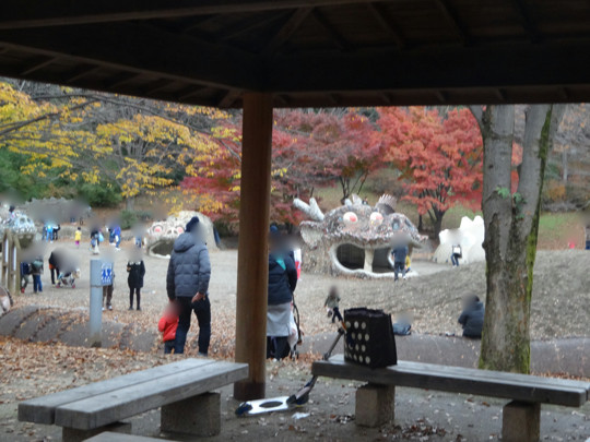 昭和記念公園の紅葉と東屋