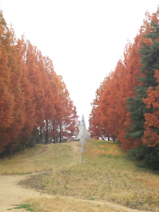 昭和記念公園の紅葉２