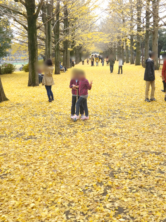 昭和記念公園の紅葉３