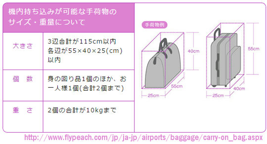 機内持ち込み