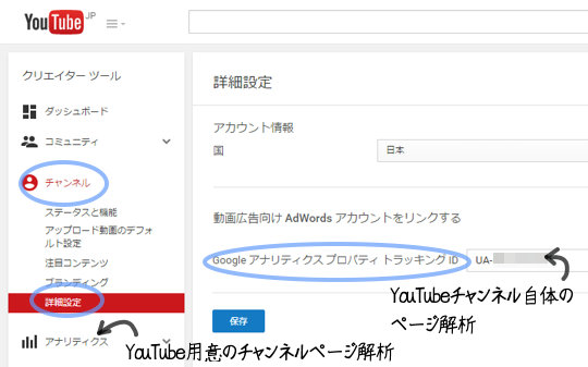 YouTube解析