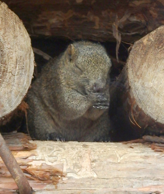 キュン死しそう