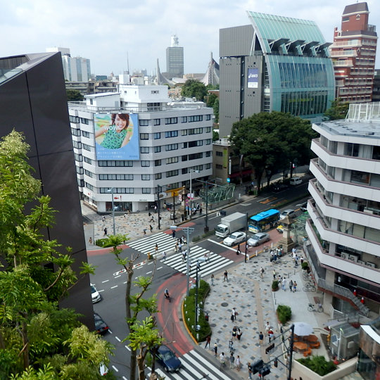 表参道が見渡せる