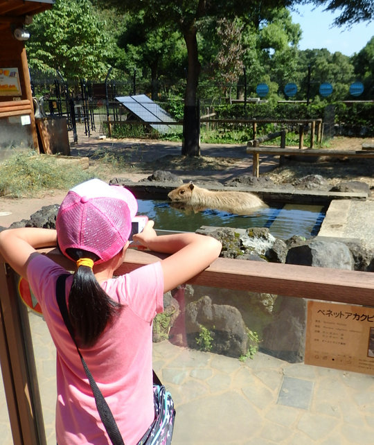 埼玉県こども動物自然公園