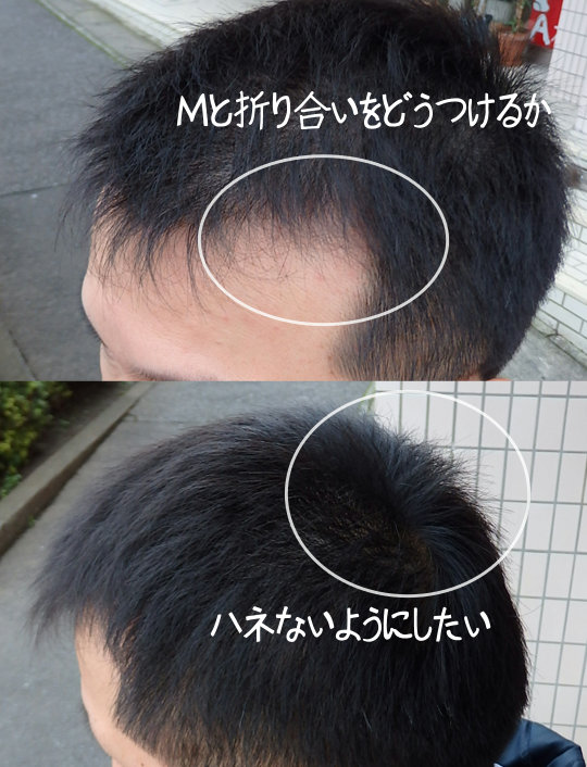 ヘアコンサルティング