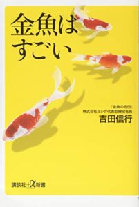 金魚の転覆病 横向きになって潜れない の治療方法 金魚の転覆病 横向きになって潜れない の治療方法