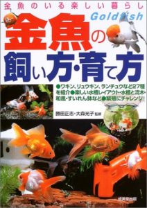 金魚の飼い方・育て方