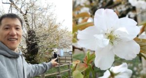 365c95650ca26fd803c2a1ee965696