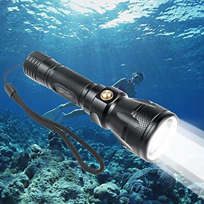 BlueFire ダイビング懐中電灯 Cree XM-L2 強力防水 100M水中ライト ダイビングライト Ledライト付 18650電池対応