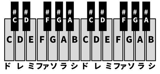 シナリオ フォート 楽譜 ナイト