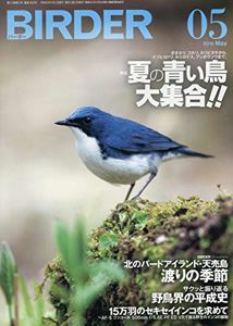 BIRDER(バーダー)2019年5月号 夏の青い鳥 大集合!! | BIRDER編集部