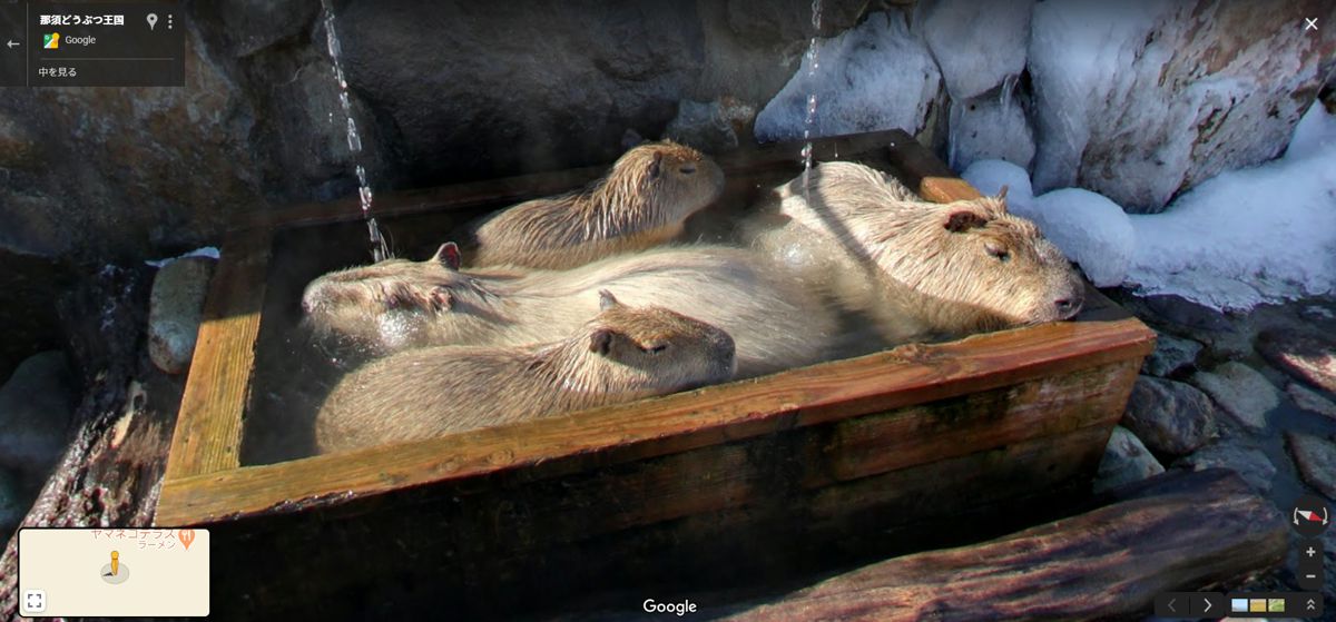 カピバラ温泉