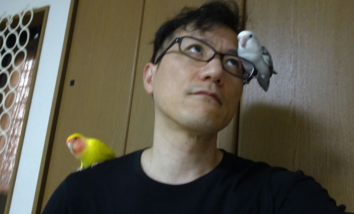 コザクラインコ