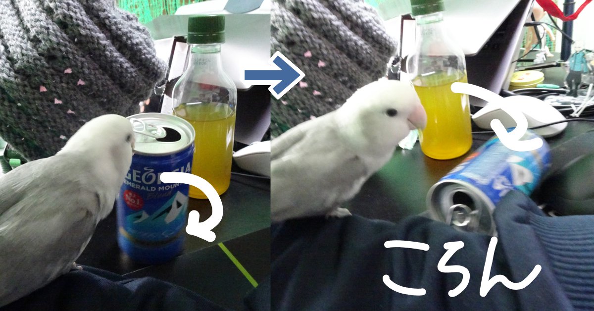 コザクラインコ 発情期のおもちゃ