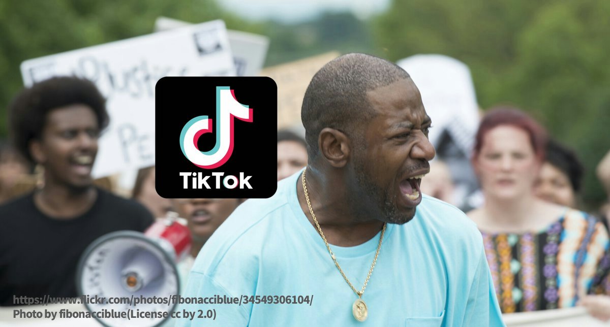 TikTok　成功事例　記事